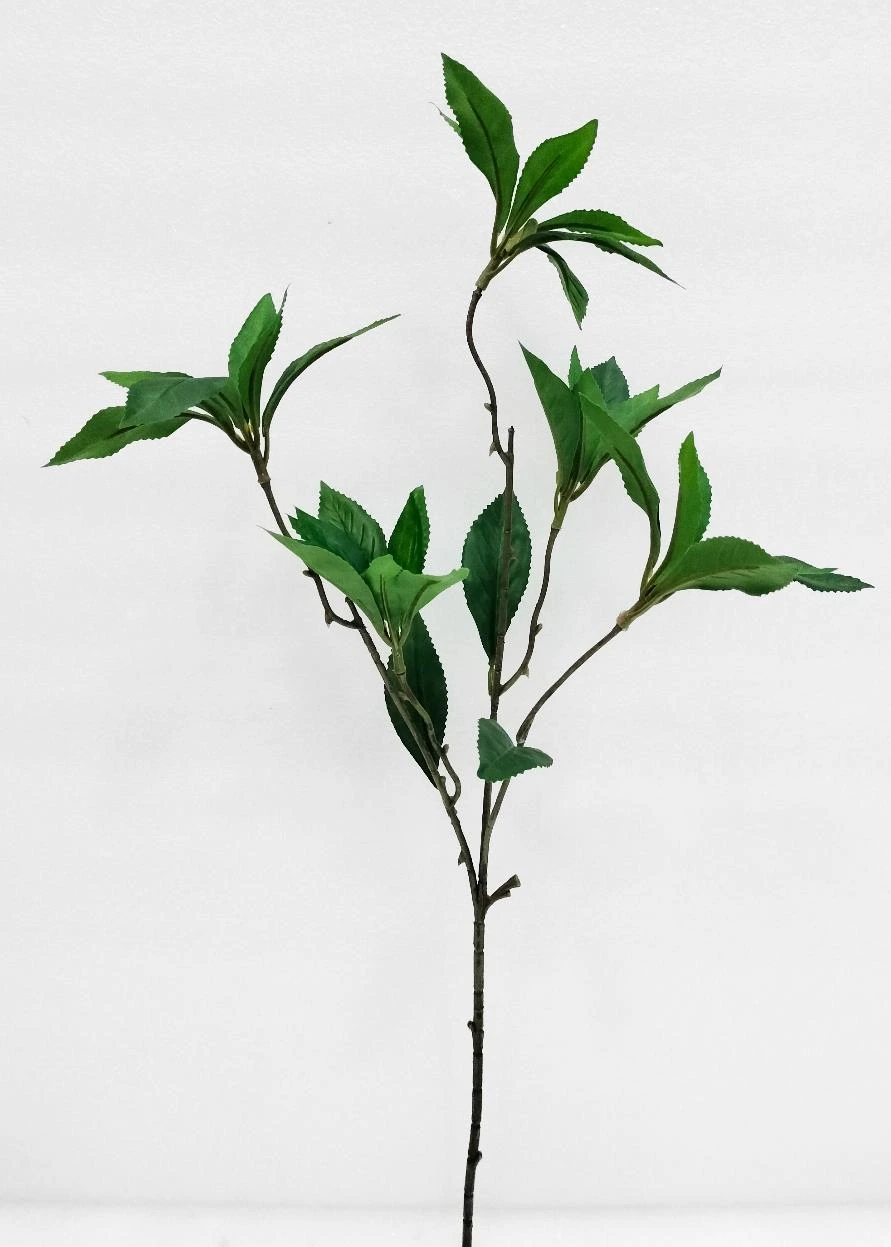 Osmanthus Stick Med